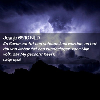 Picture 02 - Jesaja 65:10 NLD - En Saron zal tot een schaapskooi worden, en het - Bible Verse Picture