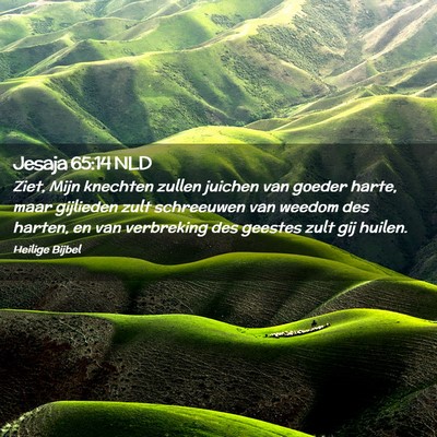 Picture 02 - Jesaja 65:14 NLD - Ziet, Mijn knechten zullen juichen van goeder - Bible Verse Picture