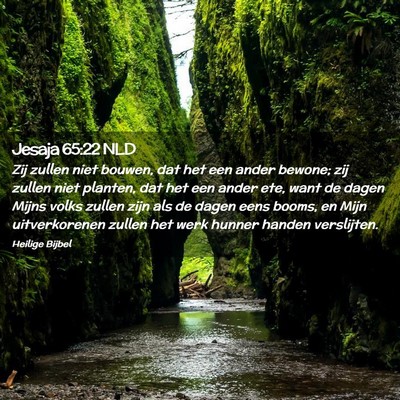 Picture 02 - Jesaja 65:22 NLD - Zij zullen niet bouwen, dat het een ander bewone; - Bible Verse Picture