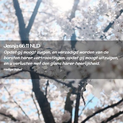 Picture 02 - Jesaja 66:11 NLD - Opdat gij moogt zuigen, en verzadigd worden van - Bible Verse Picture
