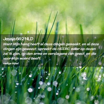 Picture 02 - Jesaja 66:2 NLD - Want Mijn hand heeft al deze dingen gemaakt, en - Bible Verse Picture