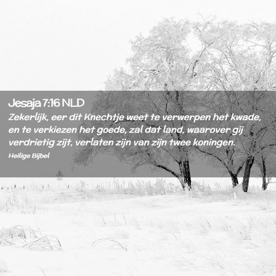 Picture 02 - Jesaja 7:16 NLD - Zekerlijk, eer dit Knechtje weet te verwerpen het - Bible Verse Picture