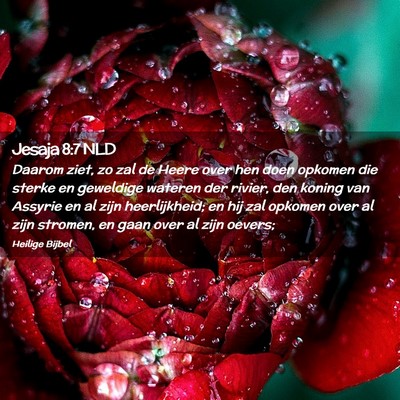 Picture 02 - Jesaja 8:7 NLD - Daarom ziet, zo zal de Heere over hen doen - Bible Verse Picture