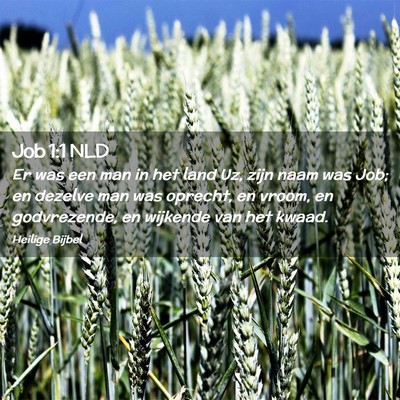 Picture 02 - Job 1:1 NLD - Er was een man in het land Uz, zijn naam was Job; - Bible Verse Picture