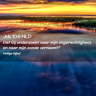 Picture 02 - Job 10:6 NLD - Dat Gij onderzoekt naar mijn ongerechtigheid, en - Bible Verse Picture