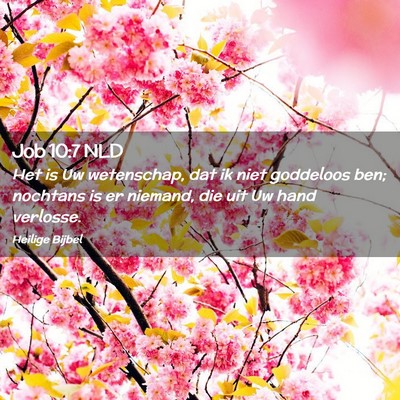 Picture 02 - Job 10:7 NLD - Het is Uw wetenschap, dat ik niet goddeloos ben; - Bible Verse Picture