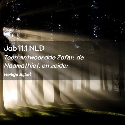 Picture 02 - Job 11:1 NLD - Toen antwoordde Zofar, de Naamathiet, en - Bible Verse Picture