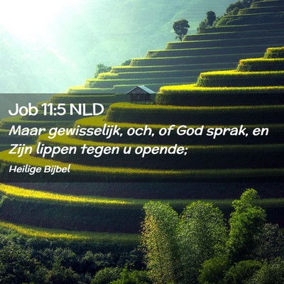 Picture 02 - Job 11:5 NLD - Maar gewisselijk, och, of God sprak, en Zijn - Bible Verse Picture