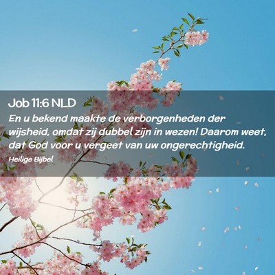 Picture 02 - Job 11:6 NLD - En u bekend maakte de verborgenheden der - Bible Verse Picture