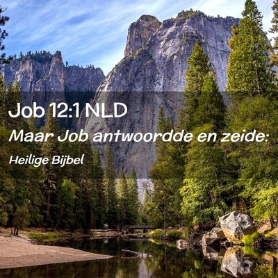 Picture 02 - Job 12:1 NLD - Maar Job antwoordde en - Bible Verse Picture