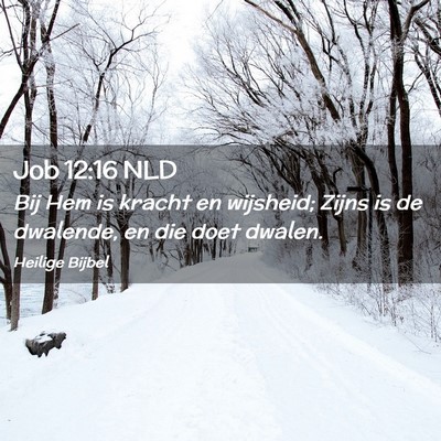 Picture 02 - Job 12:16 NLD - Bij Hem is kracht en wijsheid; Zijns is de - Bible Verse Picture