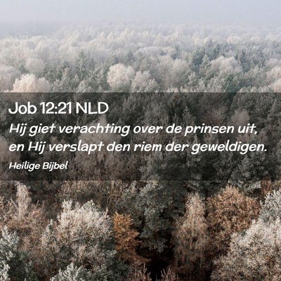 Picture 02 - Job 12:21 NLD - Hij giet verachting over de prinsen uit, en Hij - Bible Verse Picture