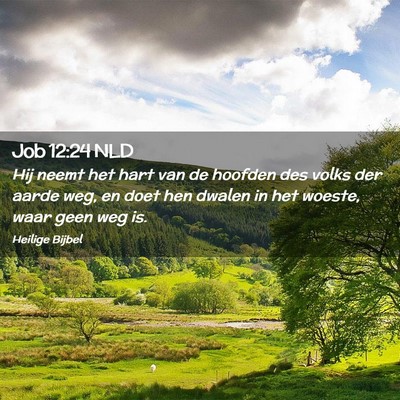 Picture 02 - Job 12:24 NLD - Hij neemt het hart van de hoofden des volks der - Bible Verse Picture