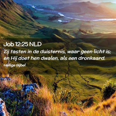 Picture 02 - Job 12:25 NLD - Zij tasten in de duisternis, waar geen licht is; - Bible Verse Picture