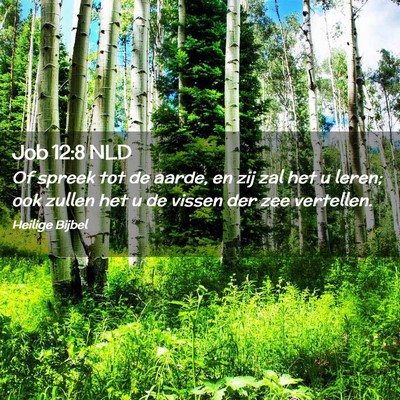 Picture 02 - Job 12:8 NLD - Of spreek tot de aarde, en zij zal het u leren; - Bible Verse Picture