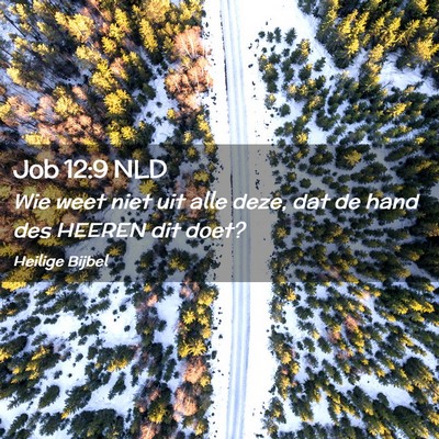 Picture 02 - Job 12:9 NLD - Wie weet niet uit alle deze, dat de hand des - Bible Verse Picture