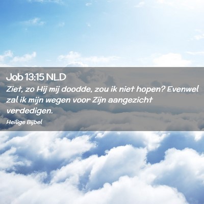 Picture 02 - Job 13:15 NLD - Ziet, zo Hij mij doodde, zou ik niet hopen? - Bible Verse Picture