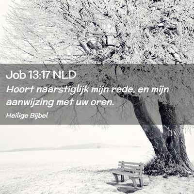 Picture 02 - Job 13:17 NLD - Hoort naarstiglijk mijn rede, en mijn aanwijzing - Bible Verse Picture