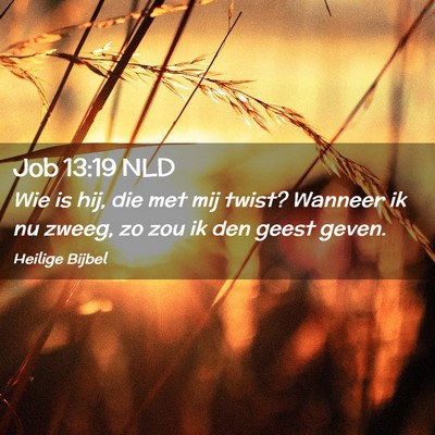 Picture 02 - Job 13:19 NLD - Wie is hij, die met mij twist? Wanneer ik nu - Bible Verse Picture