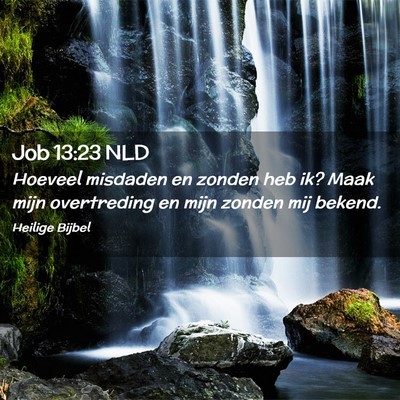 Picture 02 - Job 13:23 NLD - Hoeveel misdaden en zonden heb ik? Maak mijn - Bible Verse Picture