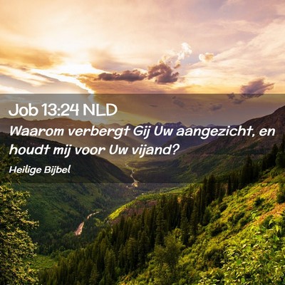 Picture 02 - Job 13:24 NLD - Waarom verbergt Gij Uw aangezicht, en houdt mij - Bible Verse Picture