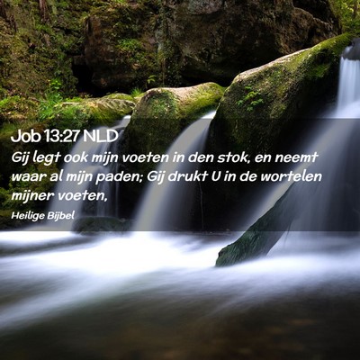 Picture 02 - Job 13:27 NLD - Gij legt ook mijn voeten in den stok, en neemt - Bible Verse Picture