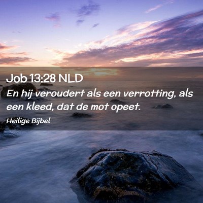 Picture 02 - Job 13:28 NLD - En hij veroudert als een verrotting, als een - Bible Verse Picture