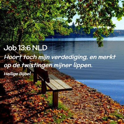 Picture 02 - Job 13:6 NLD - Hoort toch mijn verdediging, en merkt op de - Bible Verse Picture