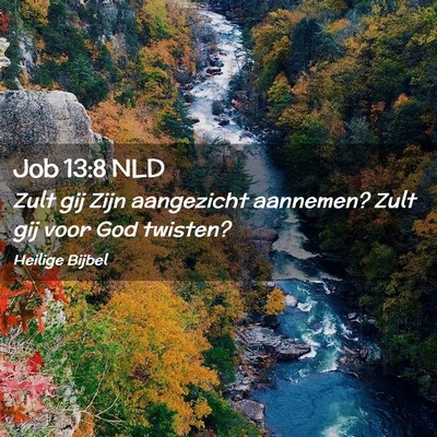 Picture 02 - Job 13:8 NLD - Zult gij Zijn aangezicht aannemen? Zult gij voor - Bible Verse Picture