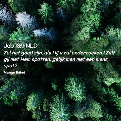 Picture 02 - Job 13:9 NLD - Zal het goed zijn, als Hij u zal onderzoeken? - Bible Verse Picture