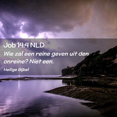 Picture 02 - Job 14:4 NLD - Wie zal een reine geven uit den onreine? Niet - Bible Verse Picture