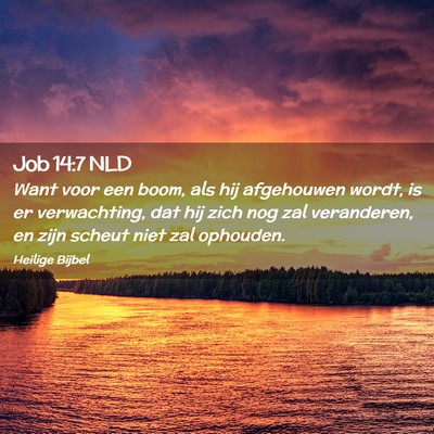 Picture 02 - Job 14:7 NLD - Want voor een boom, als hij afgehouwen wordt, is - Bible Verse Picture