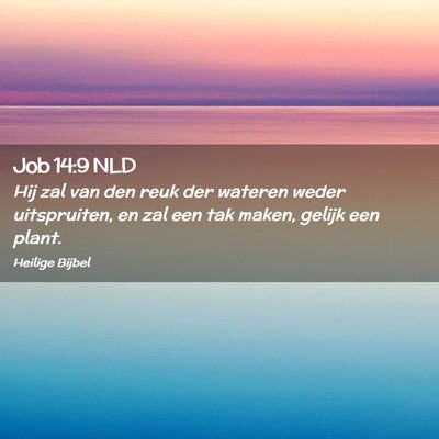 Picture 02 - Job 14:9 NLD - Hij zal van den reuk der wateren weder - Bible Verse Picture