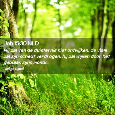 Picture 02 - Job 15:30 NLD - Hij zal van de duisternis niet ontwijken, de vlam - Bible Verse Picture