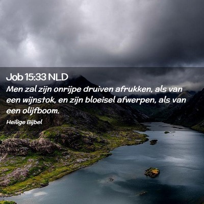 Picture 02 - Job 15:33 NLD - Men zal zijn onrijpe druiven afrukken, als van - Bible Verse Picture