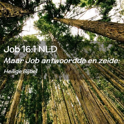 Picture 02 - Job 16:1 NLD - Maar Job antwoordde en - Bible Verse Picture