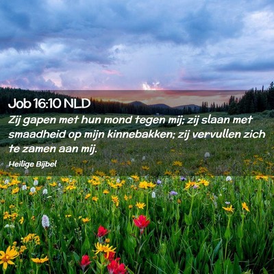 Picture 02 - Job 16:10 NLD - Zij gapen met hun mond tegen mij; zij slaan met - Bible Verse Picture