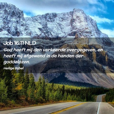 Picture 02 - Job 16:11 NLD - God heeft mij den verkeerde overgegeven, en heeft - Bible Verse Picture