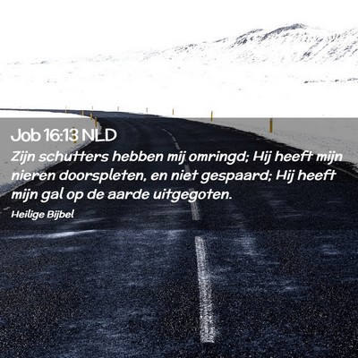 Picture 02 - Job 16:13 NLD - Zijn schutters hebben mij omringd; Hij heeft mijn - Bible Verse Picture