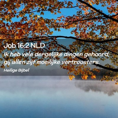 Picture 02 - Job 16:2 NLD - Ik heb vele dergelijke dingen gehoord; gij allen - Bible Verse Picture