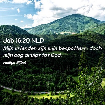 Picture 02 - Job 16:20 NLD - Mijn vrienden zijn mijn bespotters; doch mijn oog - Bible Verse Picture