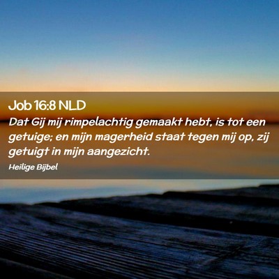 Picture 02 - Job 16:8 NLD - Dat Gij mij rimpelachtig gemaakt hebt, is tot een - Bible Verse Picture