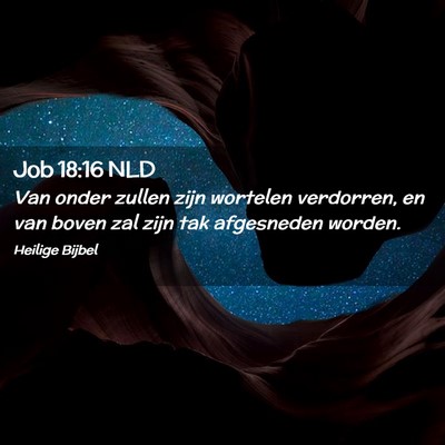 Picture 02 - Job 18:16 NLD - Van onder zullen zijn wortelen verdorren, en van - Bible Verse Picture