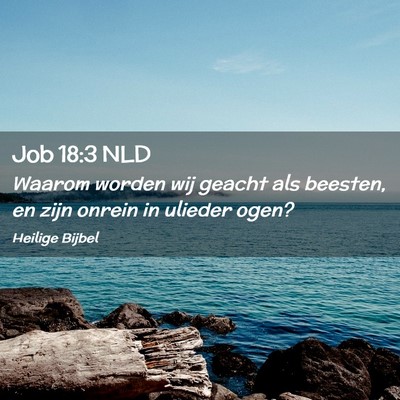 Picture 02 - Job 18:3 NLD - Waarom worden wij geacht als beesten, en zijn - Bible Verse Picture