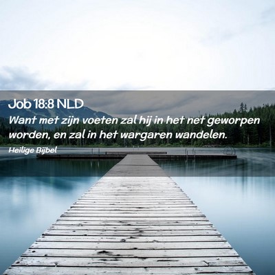 Picture 02 - Job 18:8 NLD - Want met zijn voeten zal hij in het net geworpen - Bible Verse Picture