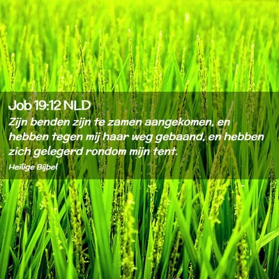 Picture 02 - Job 19:12 NLD - Zijn benden zijn te zamen aangekomen, en hebben - Bible Verse Picture