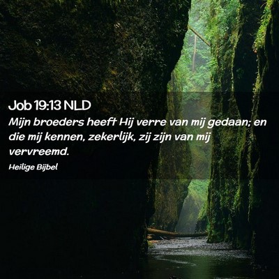 Picture 02 - Job 19:13 NLD - Mijn broeders heeft Hij verre van mij gedaan; en - Bible Verse Picture