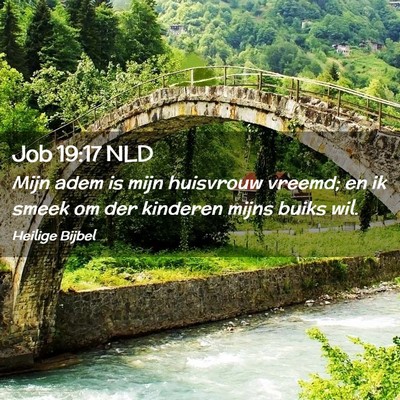 Picture 02 - Job 19:17 NLD - Mijn adem is mijn huisvrouw vreemd; en ik smeek - Bible Verse Picture
