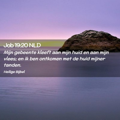 Picture 02 - Job 19:20 NLD - Mijn gebeente kleeft aan mijn huid en aan mijn - Bible Verse Picture