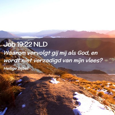 Picture 02 - Job 19:22 NLD - Waarom vervolgt gij mij als God, en wordt niet - Bible Verse Picture